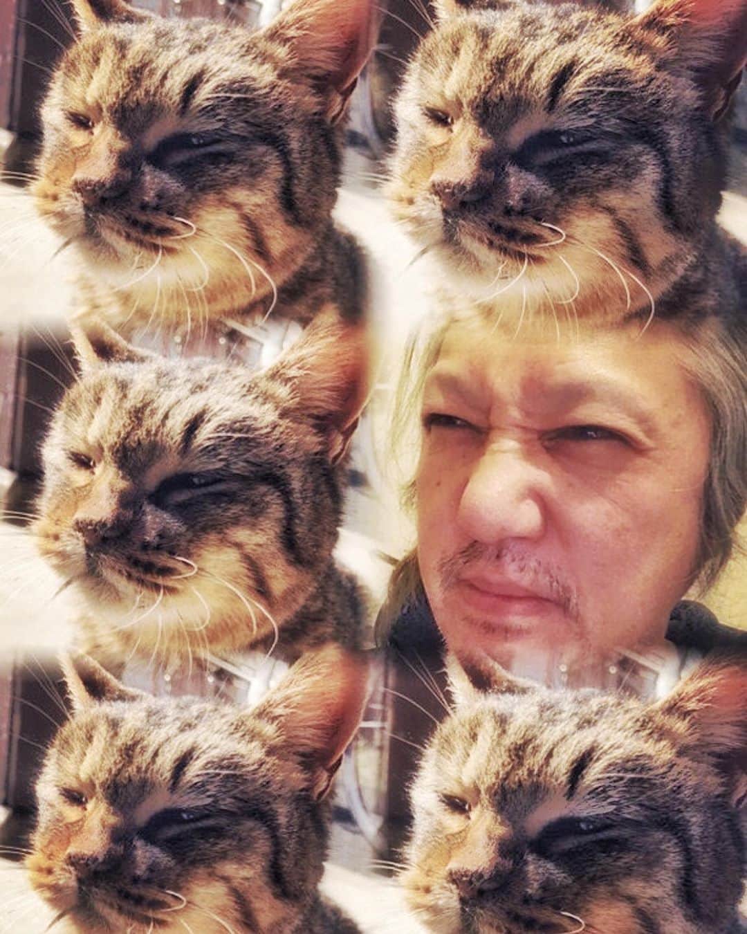 イマイアキノブのインスタグラム：「🍁みなさん おはよう ずいぶんと涼しくなった 風邪など引かぬよう！ もうそろそろ オレは寝る  2時間後に起こしてくれ  #imaiakinobu  #イマイアキノブ」