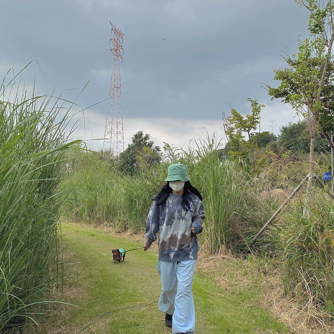 solsolさんのインスタグラム写真 - (solsolInstagram)「뻬비랑 나랑 오늘 깔맞춤💚🧃🧤 역동적인 오늘의 산책,,(🐗🐰몽탄이) 배터지는 추석 보내세요🐷」10月1日 18時51分 - solwlyy