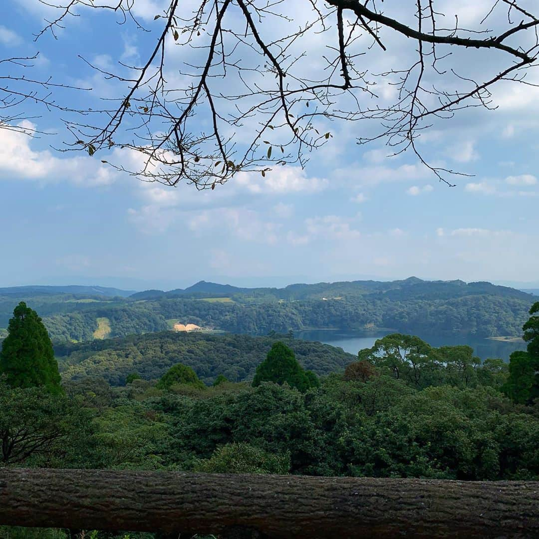 湯川玲菜のインスタグラム：「🌳✨」