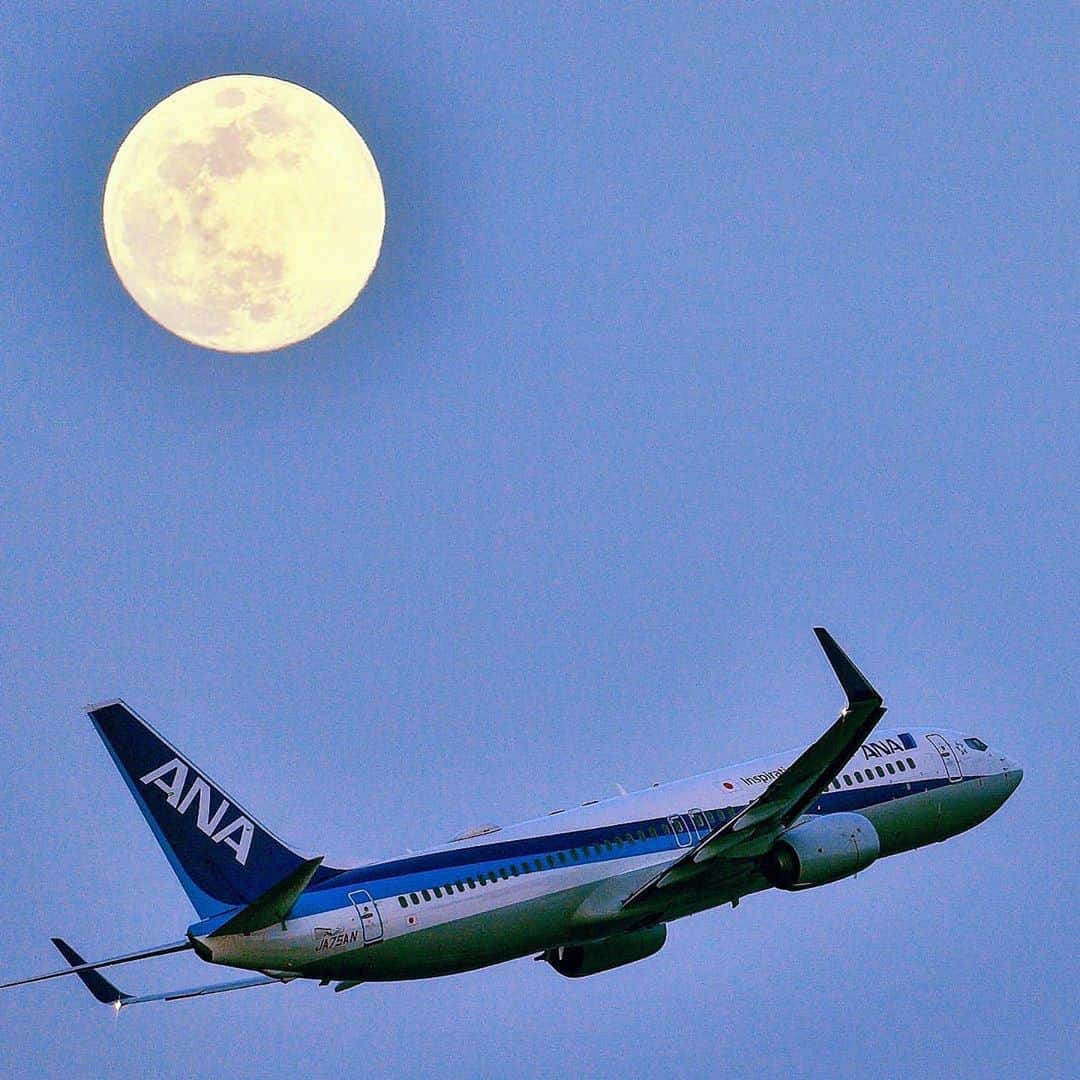 ANAさんのインスタグラム写真 - (ANAInstagram)「お月様と一緒に﻿🌖 （Photo：@kei.photograph.1）﻿ ﻿ #中秋の名月 #輝くお月様が #見られますように #月と飛行機  #十五夜 #お月見 #秋の夜長 #秋 #秋の空  #羽田空港 #ボーイング737 #ウイングレット #ソラマニ_ヒコーキ #飛行機好きな人と繋がりたい #moon #beautifulmoon #autum #airplane #night #nightview #sky #b737 #haneda #hanedaairport #wing #anaairplane #ana_jp﻿ ﻿ ANAの飛行機は「#ソラマニ_ヒコーキ 」をつけて投稿してね💙インスタやANAの各メディアでご紹介していきます☺️」10月1日 17時29分 - ana.japan