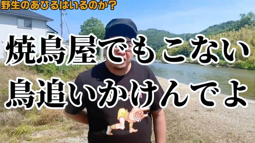 のインスタグラム：「このあと18:00は「古谷健太の徳島お笑い生活」です‼️おたよりテーマは「あなたが今１番頑張っていること」ということでDMにてお待ちしてます💯💯💯乞うご期待！  #BFM791 #エフエムびざん #ラジオ」