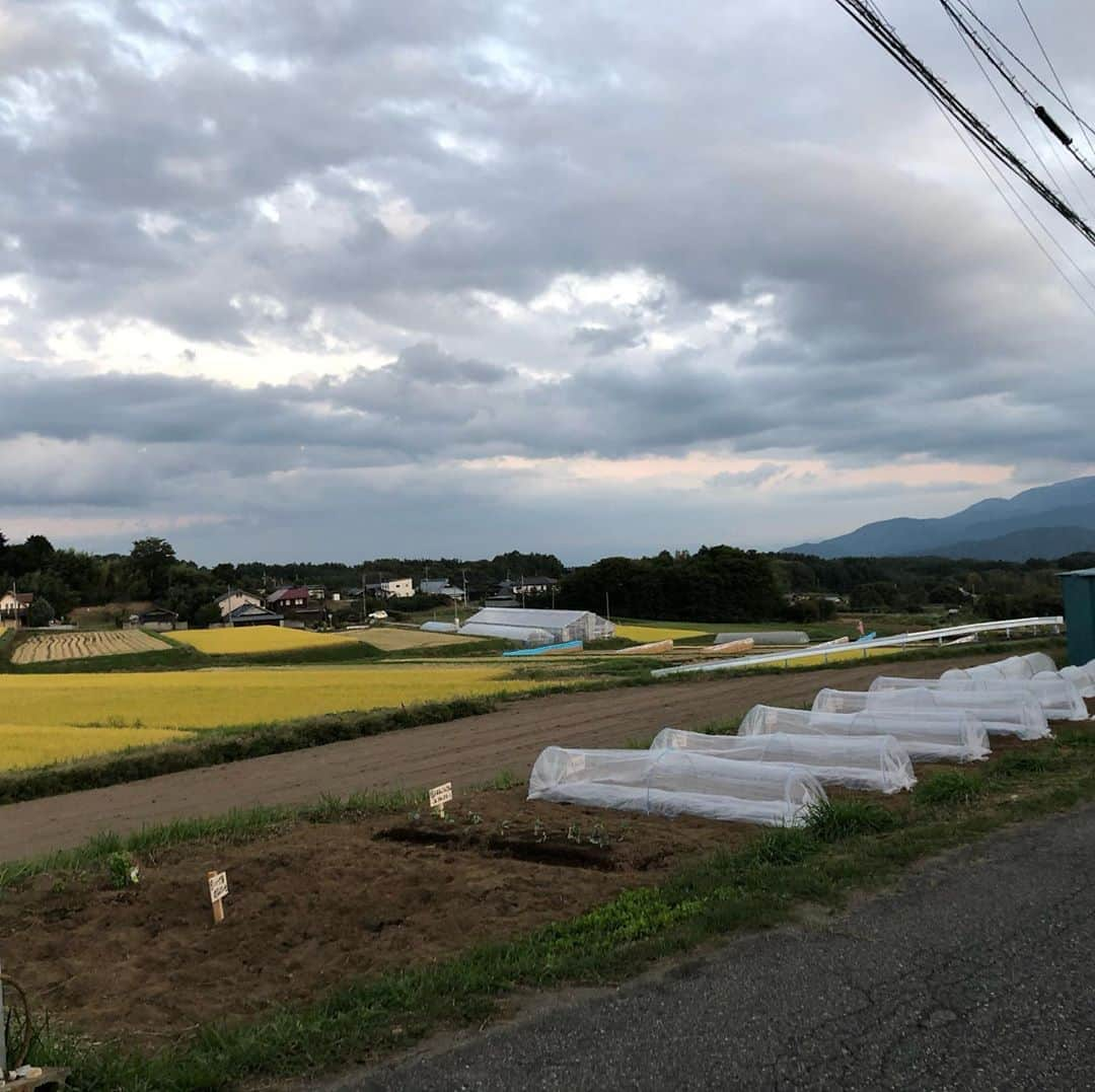 ティ・カトウさんのインスタグラム写真 - (ティ・カトウInstagram)「今日の畑からの富士山。 残念ながら見えません。  #富士山#富士山の見える畑#残念写真」10月1日 17時32分 - tea_kato