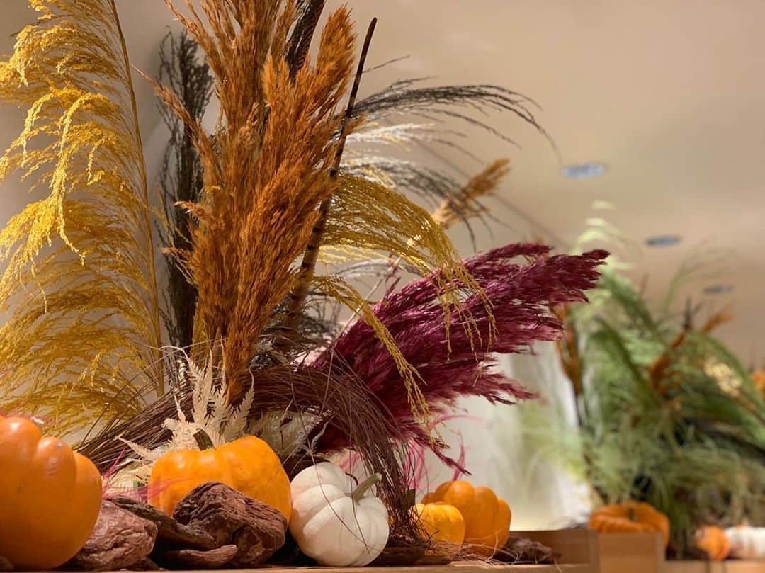のインスタグラム：「10月に入り、ハロウィンムードに。館内をいたずらしながら羽根で飾る、無邪気な子供たちを想像してみて。 We are getting ready for Halloween! Imagine mischievous children decorating the hotel with feathers.  #ハロウィン #トリックオアトリート #羽根 #パンプキン #ホテルインテリア #ホテル装飾 #Halloween #trickortreat #featherdecoration #pumpkin #hotelinterior #hoteldecoration #halloweendecorations #uncommontravel #lhwtraveler #Marunouchi #PalaceHotelTokyo」