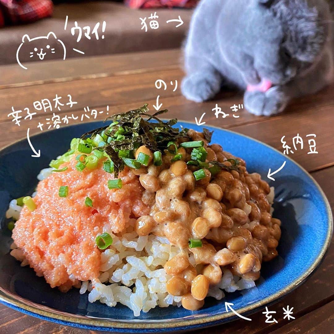小鳥遊しほのインスタグラム：「溶かしバターと明太子を混ぜると悪魔的なめとめと明太ペーストができるよって話の「明太バター納豆丼」。  白米を玄米に変えると、ねばねばめとめとにプチプチが加わってまたステキだよ。ねぎと海苔を乗せるのをサボらないと格段にウマイのでお忘れなく。  今日の #じぶんごはん はP14-15掲載。 作ったよの報告お待ちしております❤️  ●●●●●●●●●●●●●●●●●  ＼重版決定／の 「キレイをつくる、簡単！じぶんごはん」 連載元：資生堂ワタシプラス 出版：主婦の友社  担当編集： @sakurakonakano   プロフィールURLから購入できます✨ もしくは全国の書店さんにて〜  ●●●●●●●●●●●●●●●●●  #小鳥飯 #簡単レシピ #資生堂  #美肌レシピ #ダイエットレシピ #自炊 #おうちごはん #一人暮らしごはん #ごはん #料理初心者 #主婦の友社 #レシピ本 #レシピ #本 #書籍 #料理勉強中 #recipe #cooking #foodporn #recipebook」