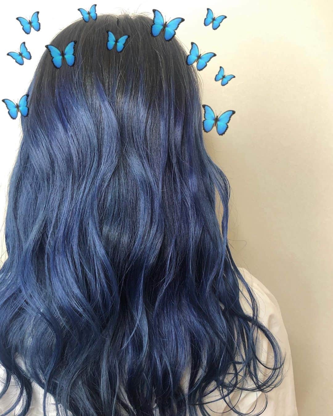 のインスタグラム：「﻿ ﻿ ﻿ 青髪ちゃん復活しました🦋﻿ ﻿ ﻿ おうち帰ったら﻿ 「またあんた青にして〜そんなんちゃうって〜」﻿ ってママ嫌がっとったけど(?)﻿ ﻿ ﻿ とりあえず今回も青で次はまた変身するから🤱🏻﻿ ﻿ ﻿ でも青気に入っちゃった〜〜💙"﻿ ﻿  #ヘアカラー #ヘアカラーブルー  #hair #bluehair #bluehaircolor💙  #haircolor #bluehaircolor #bluehairgirl」