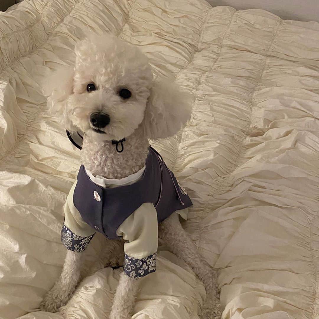 キム・ダヘのインスタグラム：「이모삼촌덜 행복한 추석보내시개! 🐶」