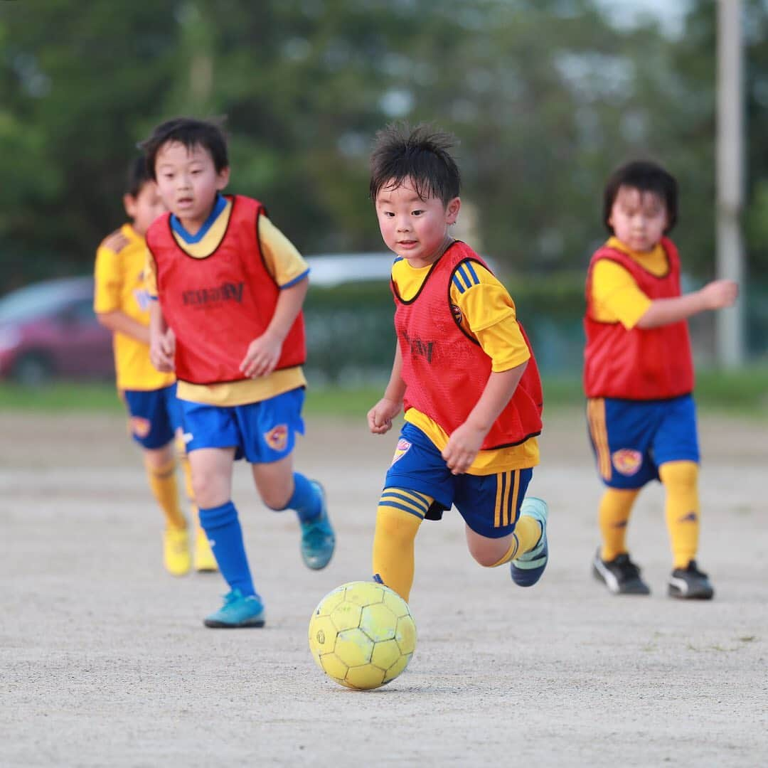 ベガルタ仙台さんのインスタグラム写真 - (ベガルタ仙台Instagram)「ベガルタ仙台サッカースクール 新規入会・紹介キャンペーン ご入会を検討されている方は、ぜひこの機会に！スクール生のみなさん、新しい仲間を紹介してください！ まずは無料体験会！WEBからお申込みいただけます。 🔗https://vegalta.suku2.io  📸名取校の様子 パナソニック仙台工場内グラウンド(名取市増田字北谷11)で活動しています。  ///新規入会・紹介キャンペーン/// 新規入会の方にはベガルタタオル、紹介してくれたスクール生にはベガルタグッズをプレゼント。たくさんのお友達を紹介してくれたスクール生には抽選でベガルタ仙台トップチームユニフォームをプレゼント！ 【期間】9/21～10/31 【対象】期間内に「入会手続きを行なった新規ご入会者」または「お友達を紹介してくれたスクール生」 【申込方法】入会・紹介者名とスクール校名をご記入の上ご提出ください。  ベガルタ仙台サッカースクールは県内12校「泉パークタウン校、泉野村校、若林荒井校、宮城野校、長町校、青葉校、太白校、古川校、石巻校、栗原校、名取校、仙南校」。 「レベルアップ、アドバンス、GK、大人」など特徴のあるコースもあり、各コースで無料体験を受け付けています。自分に合ったぴったりの場所、コースがきっと見つかるはずです。まずは1度お越しください！  ご質問、体験活動等は、スクール事務局、体験・入会申込・スクール生マイページから！ ✉️vegalta_school@vegalta.co.jp 📱022-377-1101（平日12:00～14:30） 🔗https://vegalta.suku2.io  /// #2020_VEGALTA_SENDAI /// #ベガルタ仙台サッカースクール #サッカースクール #仙台 #絆フットボール #Jリーグ #VegaltaSendai #VEGALTA #Sendai #KIZUNAfootball」10月1日 18時26分 - vegaltasendai