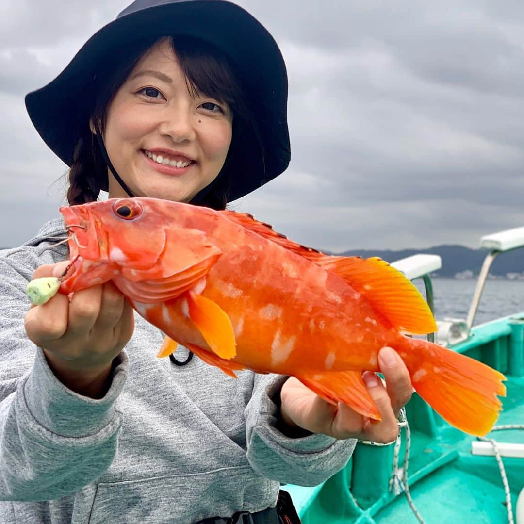 晴山由梨さんのインスタグラム写真 - (晴山由梨Instagram)「良型アカハタget♡  根魚ターゲットのひとつテンヤ五目、 アタリが多くて夢中になりました✨  ---------------- ロッド：近日公開 リール：DAIWA LUVIUS 2506H テンヤ：DAIWA 紅牙遊動テンヤ+SS 8号  #相模湾 #佐島 #鶴丸 #ひとつテンヤ #テンヤ五目 #ロックフィッシュ #アカハタ #紅牙 #船釣り #沖釣り #晴山由梨 #fish #fishing #daiwa #lovefishing  #fishinglife #fishingdaily #fishingtrip  #angler #fishingphotography」10月1日 18時32分 - hareyama_yuri