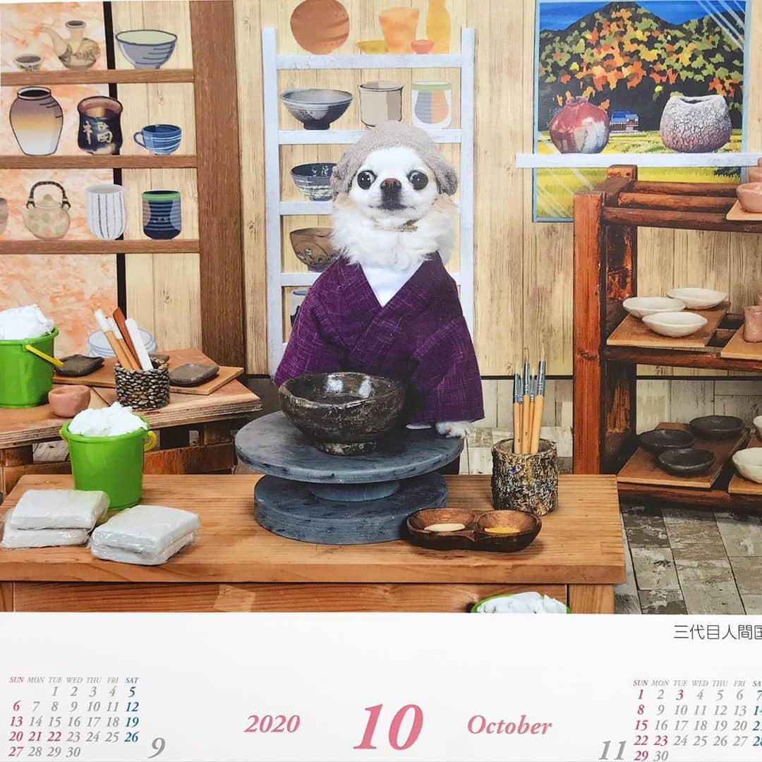 ∞maki∞??????さんのインスタグラム写真 - (∞maki∞??????Instagram)「2020.10.1 ピノ♡ ・ ・ ・ ・ おはようございます😊☀ ・ ・ ・ 10月のカレンダーは ドヤ顔ピノ😳♬✨ ・ ・ ・ ツムも増えて益々賑やかに〜🌼 ゆるりですが今月も宜しくお願い致します🙏💓 🥰🐶🐶🐶🐶🐶🐶💝✨ ・ ・ ・ ・ 皆さま今日も素敵な1日を〜✨ ・ ・ ・ ・ #2020#10月#カレンダー#ボツ写真#dog#Chihuahua#Chihuahualove#Chihuahualife#instaChihuahua#IGersJP#all_dog_japan#happy#cute#love#犬#愛犬#イヌスタグラム#ちわすたぐらむ#チワワ#ロングコートチワワ#多頭飼い#可愛い#癒し#幸せ#おはよう#Goodmorning#ﾋﾟﾉ」10月1日 9時49分 - maki_dfpso