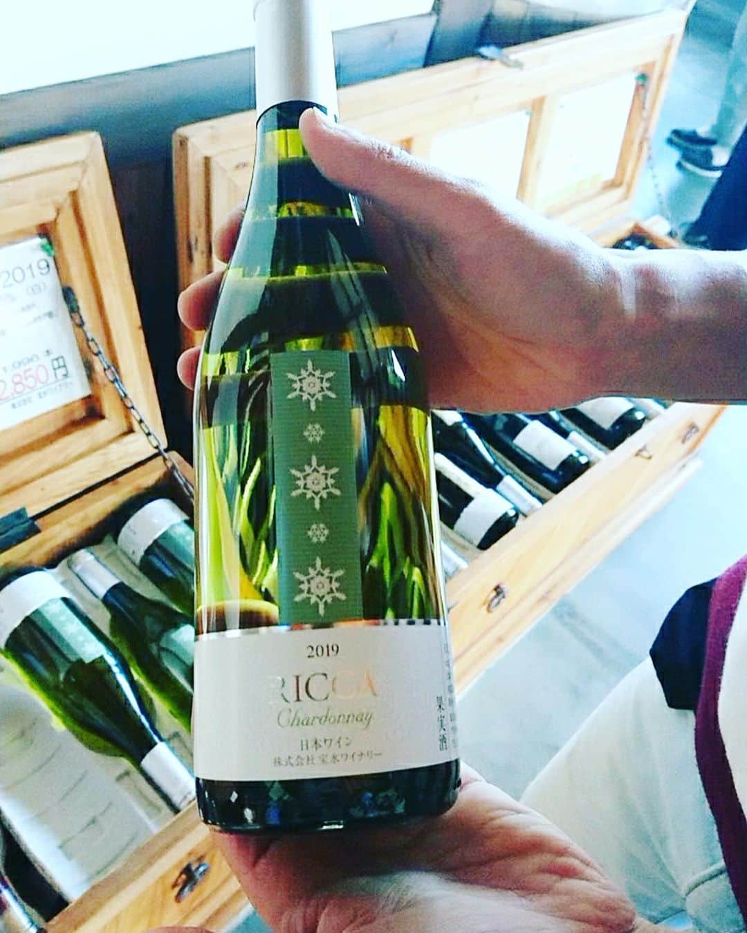 東京バイオテクノロジー専門学校のグルメインスタ