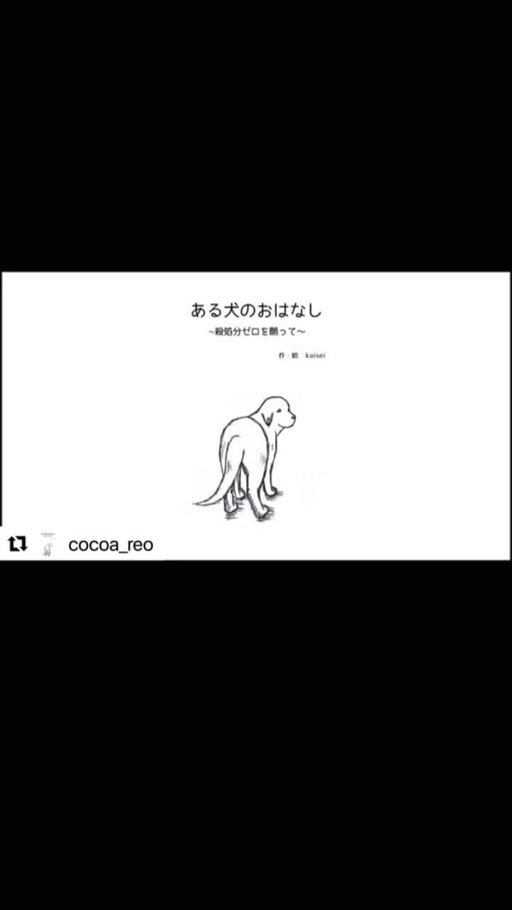 のインスタグラム：「この動画は @hana_matsushima_animal  の投稿から引用させていただきました。 1人でも多くの方に見ていただけたら嬉しいです。  #殺処分　#殺処分ゼロを目指して #終生飼育」