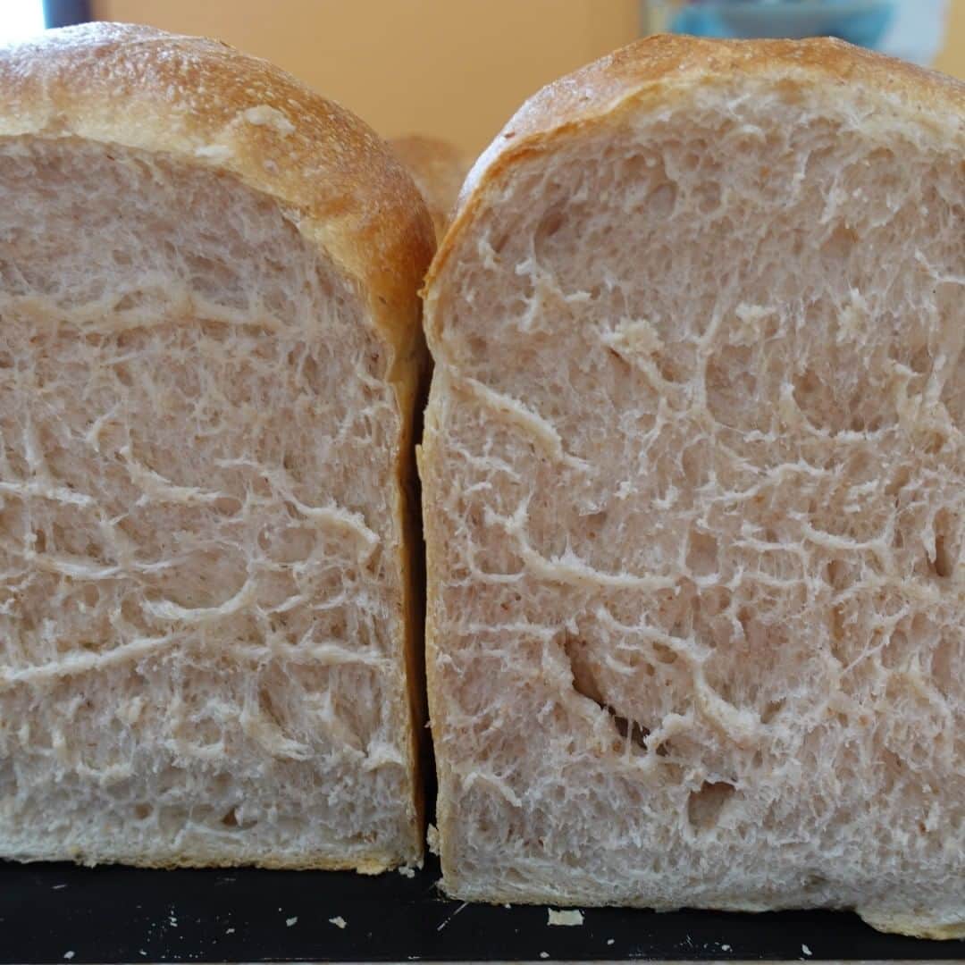 魔女菅原のグルメインスタ