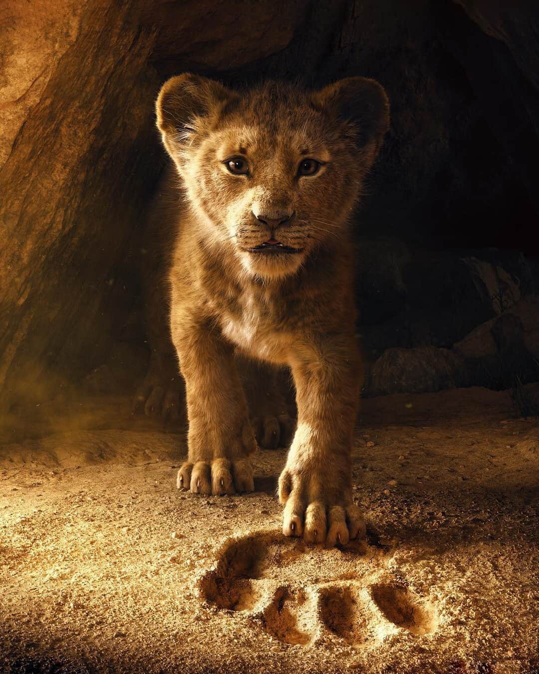 HYPEBEASTさんのインスタグラム写真 - (HYPEBEASTInstagram)「#hypeflix: A live-action sequel to @disney’s @lionking is reportedly in the works with Barry Jenkins as director. The film will supposedly continue to use photo-realistic technology introduced in Jon Favreau’s ‘The Jungle Book’ and is poised to further explore the character’s backgrounds and mythology. Find out more details via the link in bio.⁠ Photo: Disney」10月1日 12時30分 - hypebeast