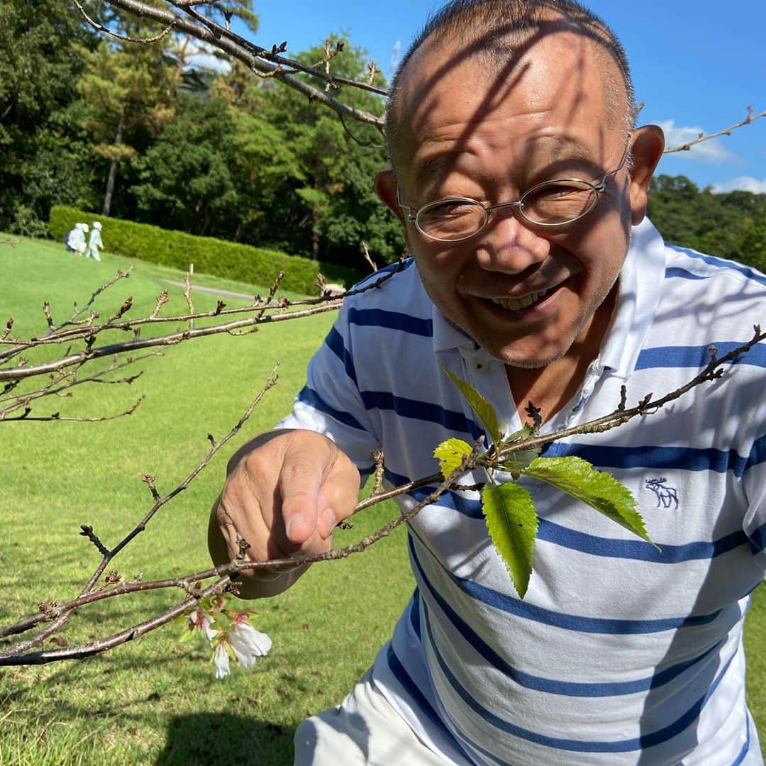 笑福亭鶴瓶さんのインスタグラム写真 - (笑福亭鶴瓶Instagram)「10月1日桜咲く🌸見つけた。幸せを分けます。」10月1日 12時50分 - shofukuteitsurube