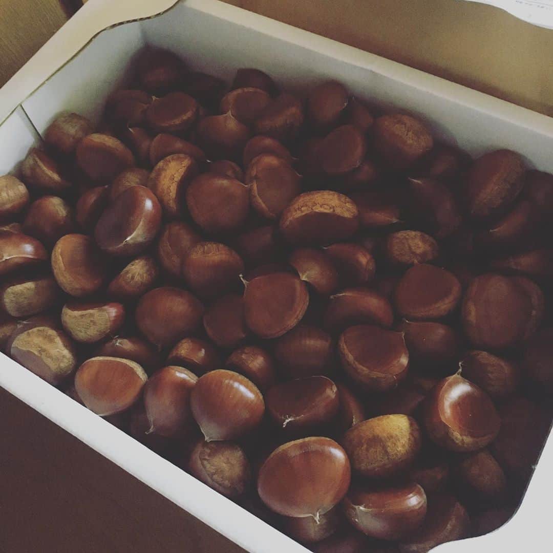HALFBYのインスタグラム：「秋🌰」