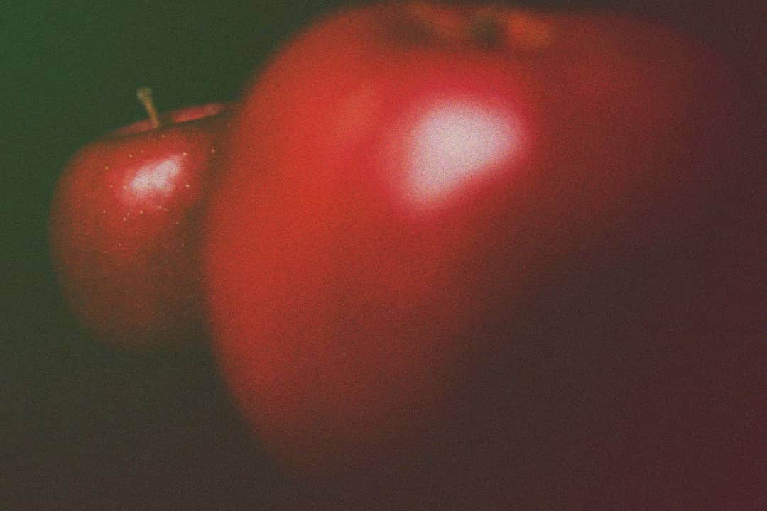 安藤きをくさんのインスタグラム写真 - (安藤きをくInstagram)「「ニュートンの夢」  youtubeに撮影過程を載せています。  #林檎 #apple #ニュートン」10月1日 13時13分 - kiwokuand