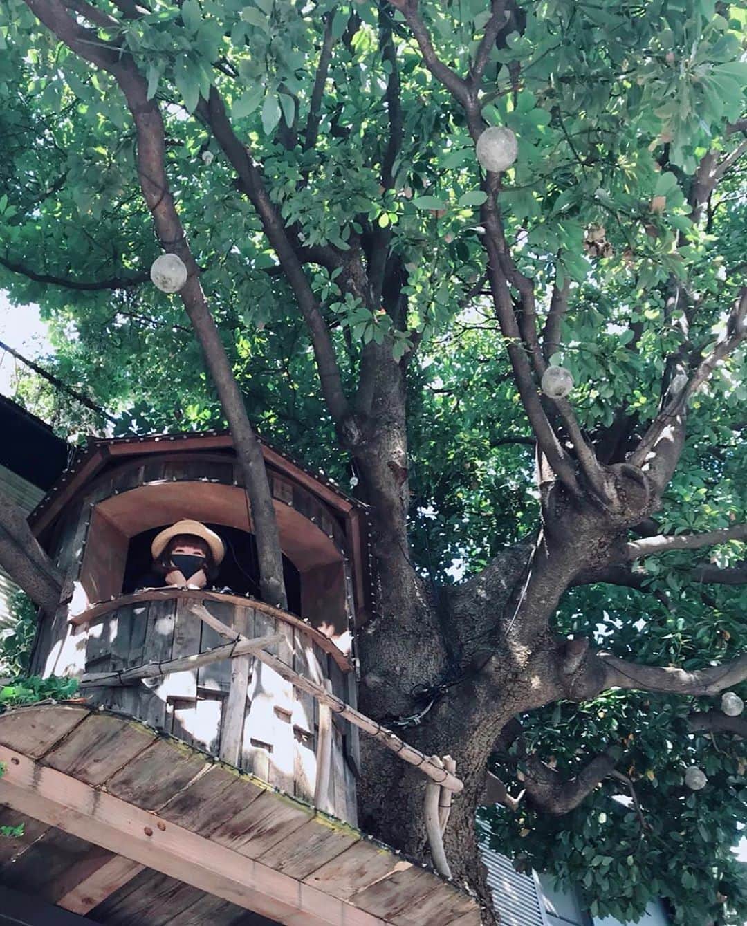 板橋よしえさんのインスタグラム写真 - (板橋よしえInstagram)「. @miiikiiicom ちゃんが撮ってくれた😌 TREE HOUSE🌲とわたし。 TREE HOUSEってなんだかわくわくするよねえ。」10月1日 13時09分 - candy_yoshie