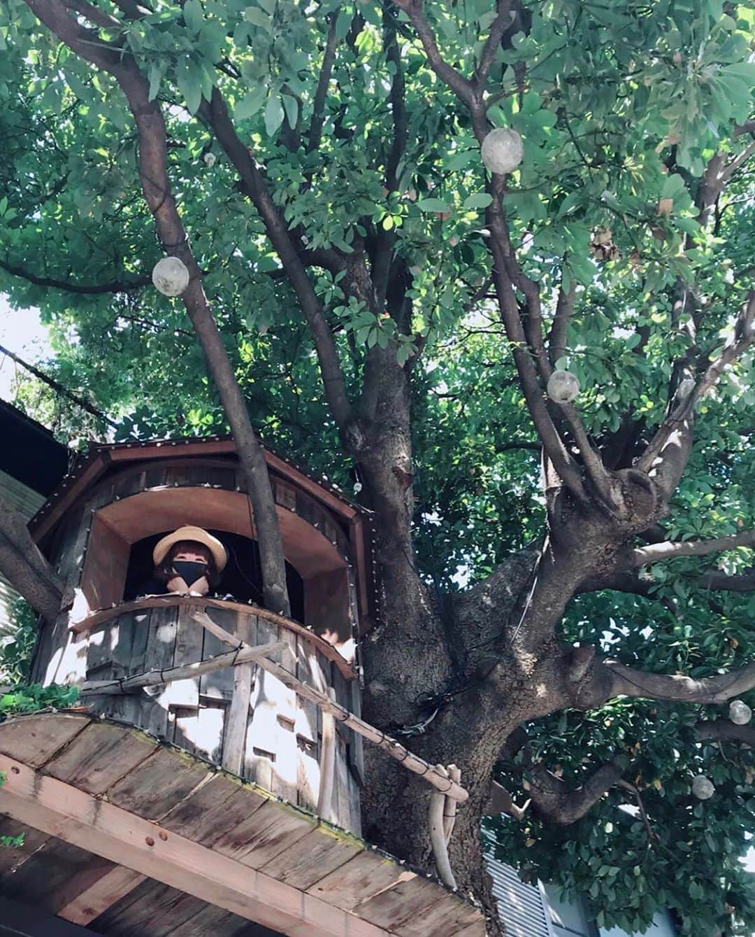 板橋よしえのインスタグラム：「. @miiikiiicom ちゃんが撮ってくれた😌 TREE HOUSE🌲とわたし。 TREE HOUSEってなんだかわくわくするよねえ。」