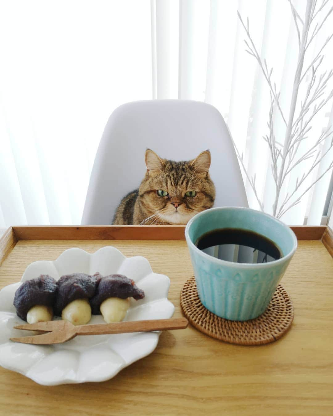 寅次郎（とらちゃん）さんのインスタグラム写真 - (寅次郎（とらちゃん）Instagram)「☆ TODAY'S SWEETS🎑 . 今日は中秋の名月+コーヒーの日 ってことで、 お月見団子とコーヒーのセットにゃよ☕ . ブログ（ストーリーよりどうぞ）には、お月見団子に添えられてたばあばのイラストも載せてるので良かったら見てみてにゃ😹 . #寅cafe #中秋の名月 #手作り団子 . . #cat #cute #meow #貓 #ねこ #エキゾチックショートヘア #無敵の親バカ同盟 #猫のいる暮らし #にゃんすたぐらむ #ペコねこ部 #ねことの暮らし #よしざわ窯」10月1日 13時19分 - torachanthecat