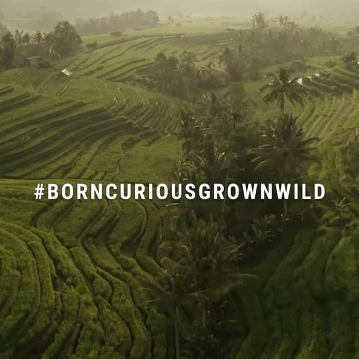 ベックスロックスのインスタグラム：「#BornCuriousGrownWild  @crabtreeandevelyn new launch embodies the experience around slowing down and having a shift of perspective.  When we are disconnected from nature, we are disconnected from ourselves.  Bali has provided me with the chance to get back to me, reminding me of my roots growing up barefoot.  When I was running my jewellery brand in London I found that, as my business grew, the pressures and deadlines took over.  I didn’t know when or how to stop. I didn’t allow myself to just be. It was always onto the next meeting, the next event, the next social gathering. I turned holidays into work opportunities and I was disengaged from my friends and family - my backbones. I lost my sense of priority and self care. I had tunnel vision for driving forward, even though I was just treading water. This was the start of my realisation to slow down, when my body burned out and I could no longer continue at the same pace.  I landed in Bali to get away, without having any expectations, idealistic for the transformation that people know Bali to offer. Yet the Island of the Gods, without intention, allowed for me to find my purpose, my truth. It gave me the space to be my authentic self without any pressures. I was healed through observing, hugged by nature, and taught by the Balinese philosophical way of life.  I learned to be in harmony with yourself by respecting the spirit of life, the people that surround you, and Mother Nature.  “Life, religion and art all converge in Bali.  They have no word in their language for ‘artist’ or ‘art’. Everyone is an artist.”  This quote was a dangling carrot that made me understand the power of art created with intention which has led me on a three-year voyage to discover and co-create with the best Masters of Craft on the island, to learn about their traditions, way of life and mastery. It has become my sole purpose to support and celebrate these Masters as The Art Of Slow.」