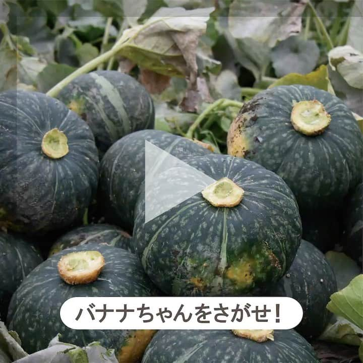 エジソンママ - EDISONmamaのインスタグラム