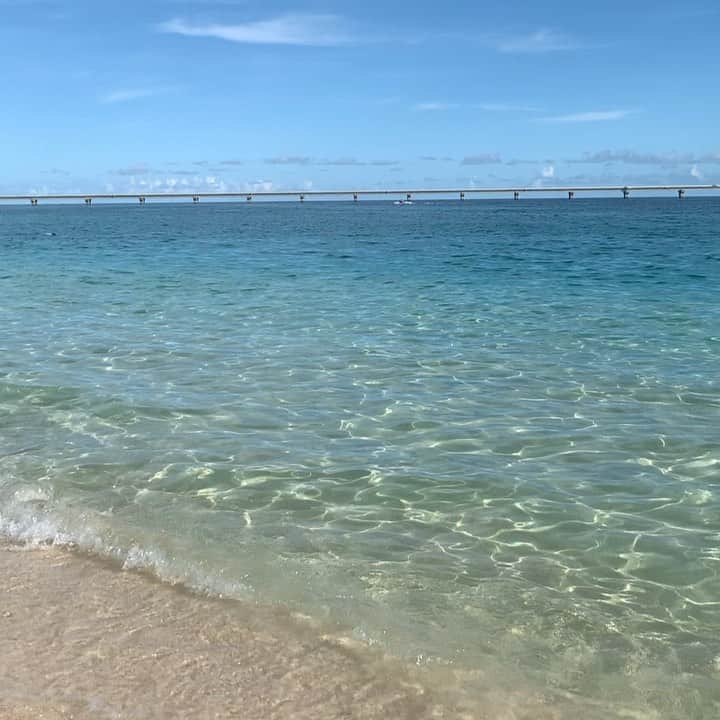 仲田克也のインスタグラム