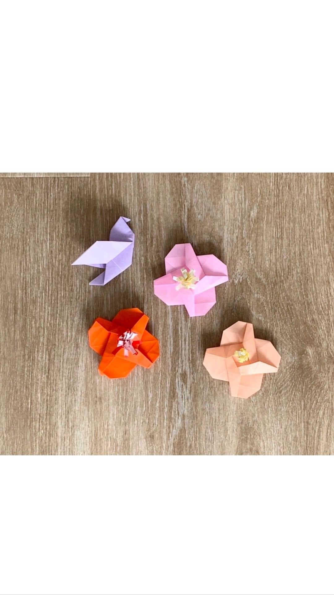 のインスタグラム：「昨日に続き、アロマクラフト「花と小鳥のスワッグ」の作り方の一部をご紹介。 家族で一緒に楽しんだり、贈り物などに香りをつけた折り紙を忍ばせたりするのもおすすめです。 ※詳しい折り方は機関誌『AEAJ』No.97 P24〜25をご参照ください。 会員以外の方はAmazonでもご購入いただけます。  #AEAJ #aroma #アロマテラピー #fragrance #精油 #essentialoils #アロマのある生活 #香りのある生活 #origami」