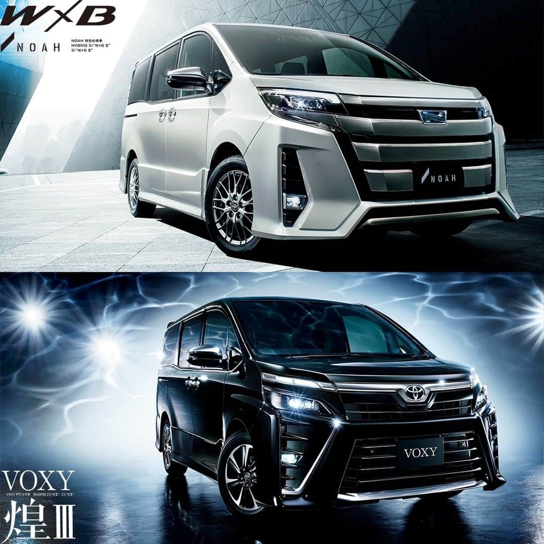 TokyoToyopet Girl meets carのインスタグラム