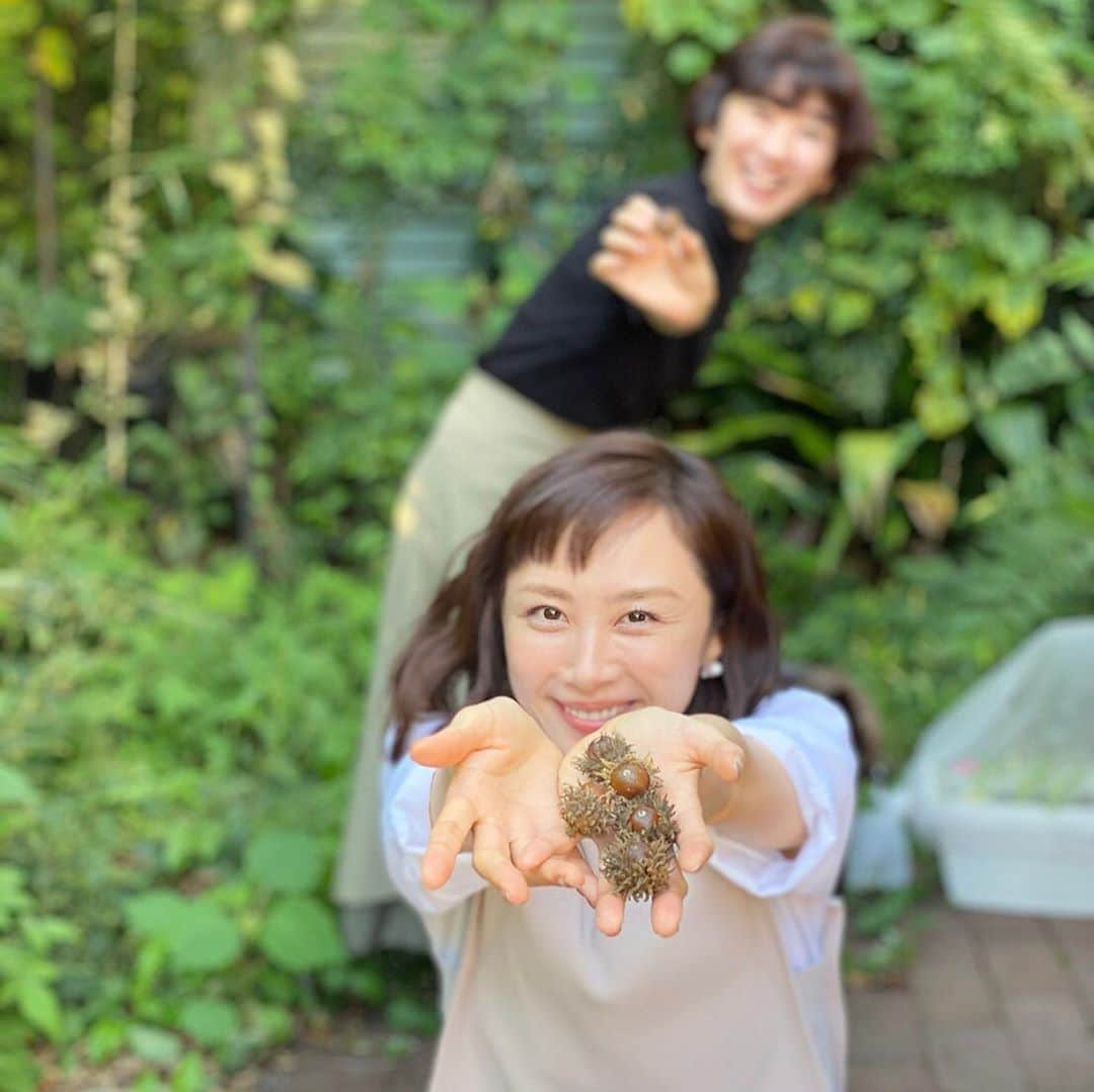 山口もえさんのインスタグラム写真 - (山口もえInstagram)「秋見つけたよ♡ 今日から10月だー！！ 皆は秋見つけたかな❓🍁  #秋#見つけたよ #どんぐり#クヌギ#美味しそう #でも食べられないみたい #深町貴子　さんと💕 #やさいの時間」10月1日 14時09分 - moe_yamaguchi0611