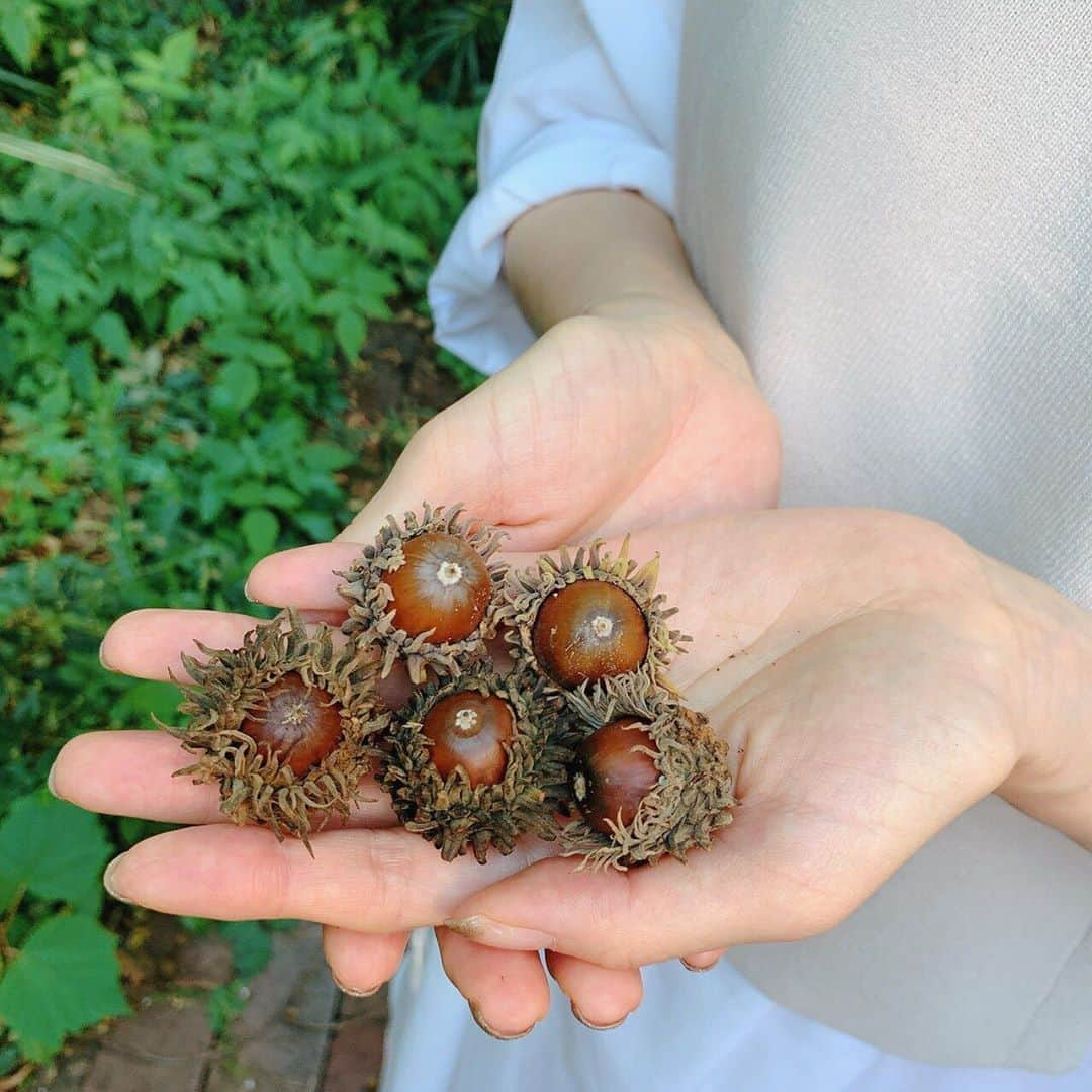 山口もえさんのインスタグラム写真 - (山口もえInstagram)「秋見つけたよ♡ 今日から10月だー！！ 皆は秋見つけたかな❓🍁  #秋#見つけたよ #どんぐり#クヌギ#美味しそう #でも食べられないみたい #深町貴子　さんと💕 #やさいの時間」10月1日 14時09分 - moe_yamaguchi0611