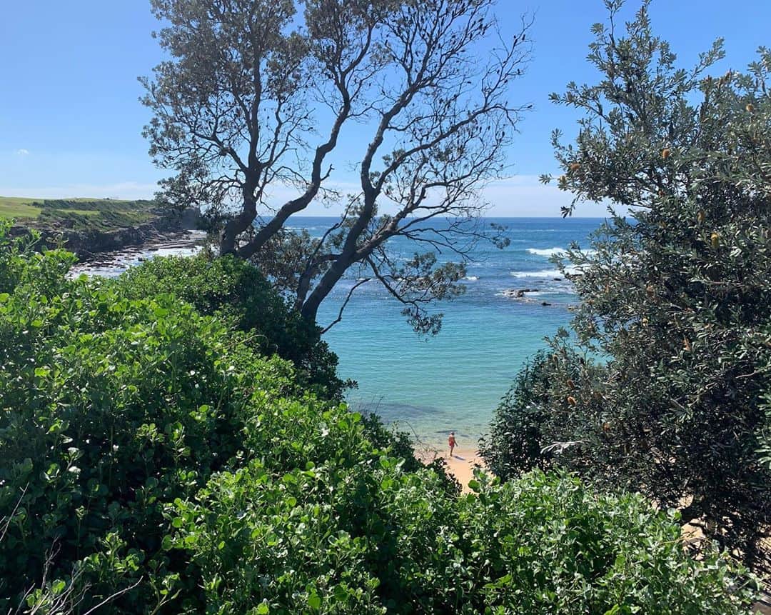 のインスタグラム：「Little Bay」