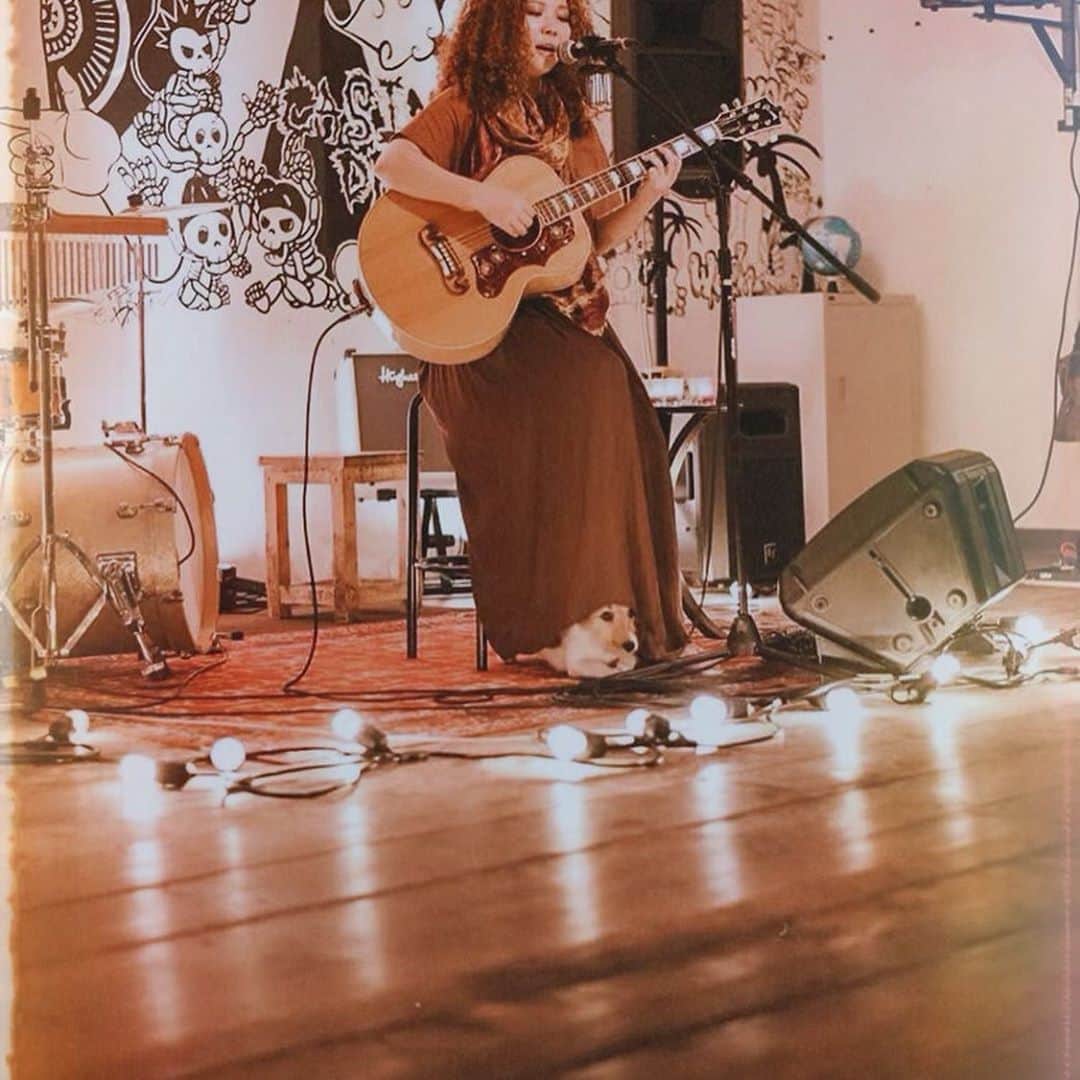 のインスタグラム：「Thank you Casino Drive! サウンドチェック中 かわいい舞台監督がステージを確認してくれてました @noel_senmu 🐶」