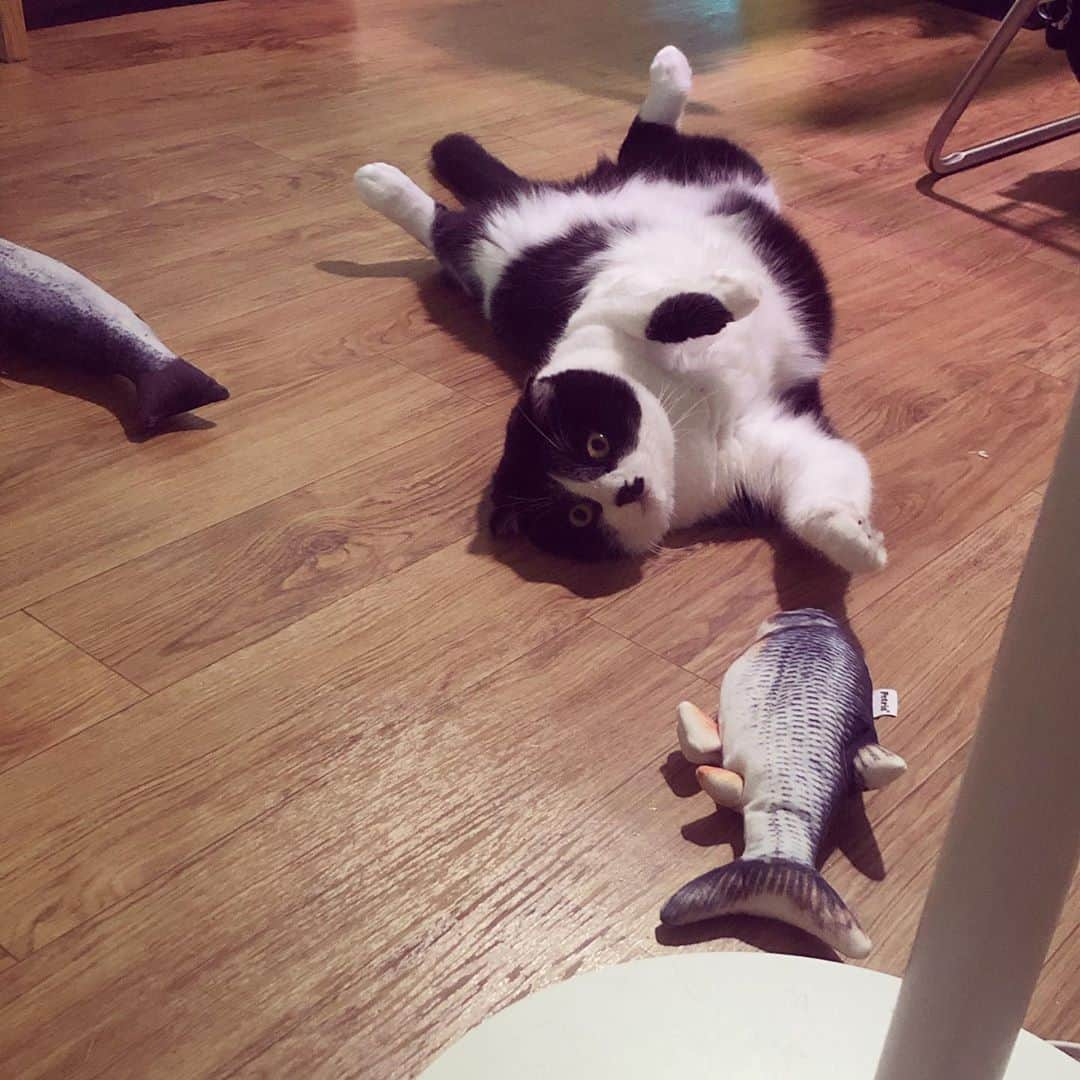 キム・ボア さんのインスタグラム写真 - (キム・ボア Instagram)「집이 제일 편합디다..🖤 #킬포 #찌그러진얼굴 #쩍벌 #유연성」10月1日 15時16分 - tomboaaa