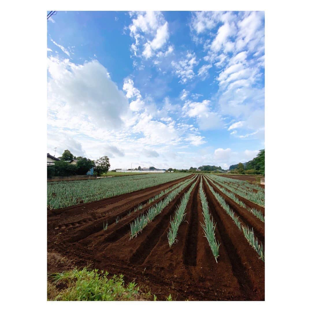 望月理恵さんのインスタグラム写真 - (望月理恵Instagram)「ロケにきてます。 のどかな風景に癒されてます。  雨上がりの雲の動きが早くて ドラマティックです！ #ロケ#ネギ畑」10月1日 15時44分 - mochiee28