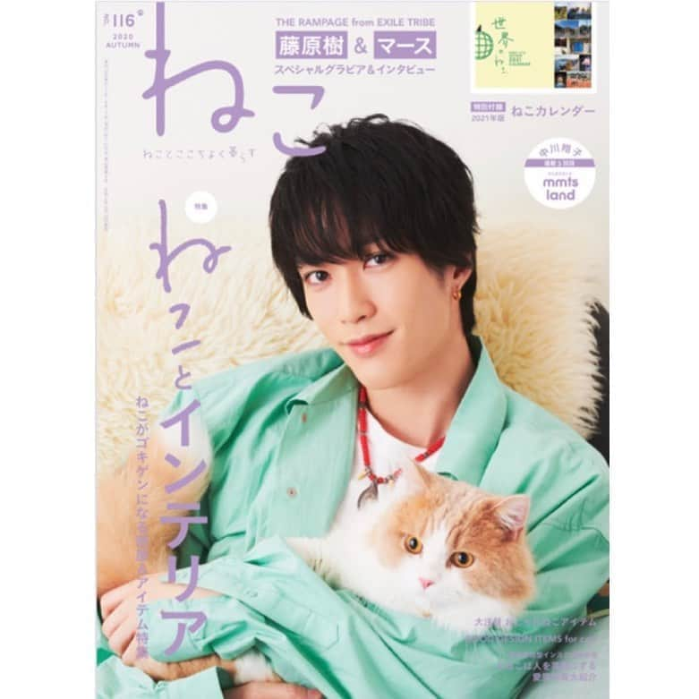 ねこさんのインスタグラム写真 - (ねこInstagram)「ジャーーン❣️✨お待たせしました😊💓10月12日(月)発売「ねこ 116号」の表紙を一足早くフォロワーの皆さまへお見せします😻📚🤟🏻 表紙を飾ってくださったのは、THE RAMPAGE from EXILE TRIBEのメンバーの藤原樹さん🙆‍♀️❤️(@itsuki_fujiwara_official )と、樹さんの愛猫のマースくん🐱✨ 本誌2回目のご登場です🙇‍♀️✨ 今回は『ねことインテリア』をテーマに、ねこがご機嫌になるお部屋＆アイテムを大特集しました😺💓 インスタ企画でご応募頂いた方々のお写真もモリモリ掲載しております❣️🎃✨ 現在、Amazonでご予約を承ってまーす🙌🏻 ↓ ねこ2020年11月号vol.116  https://www.amazon.co.jp/dp/B08JV9JVS3/ref=cm_sw_r_li_api_fab_dnyDFbFCWDF3S  皆さんぜひっ❣️チェックしてくださいねぇ〜😃😄😃😄  #neko_magazine #NEKONOBA #ねこマガジン #ネコノバ #ねこ #猫 #cat #catstagram #catsofinstagram #藤原樹 #いっちゃん #マース #ランページ #therampage #ランペファンと繋がりたい #ldh #ねこ雑貨 #ねこ116 #ねこ116号 #ねことインテリア」10月1日 16時34分 - neko_magazine