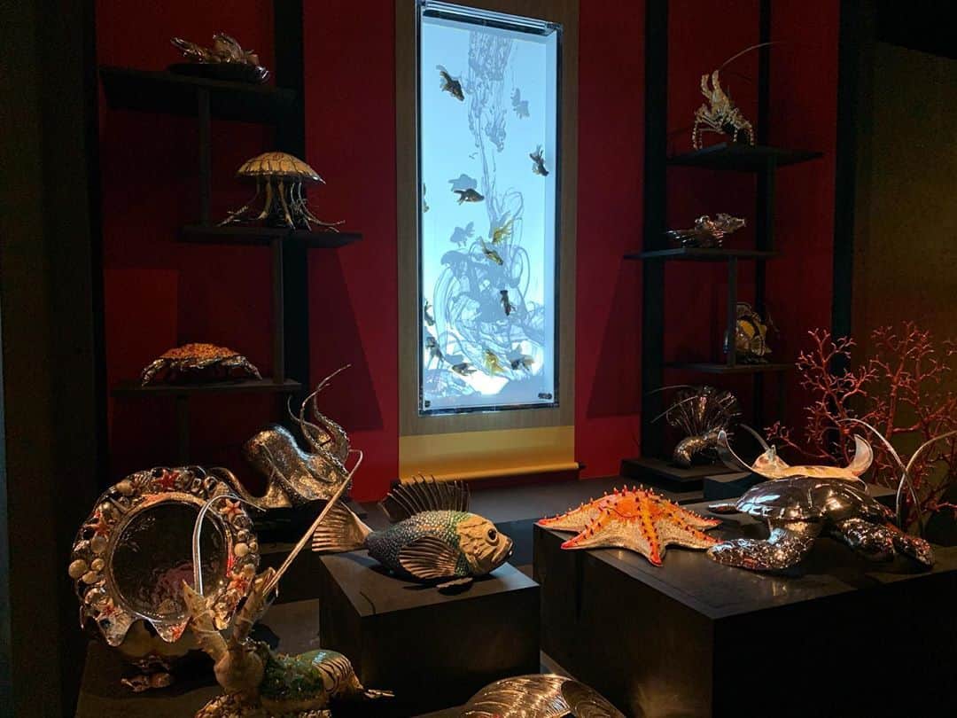 忍成修吾のインスタグラム：「アクアリウムが予想以上に楽しかった🎶 金魚可愛い🐟」