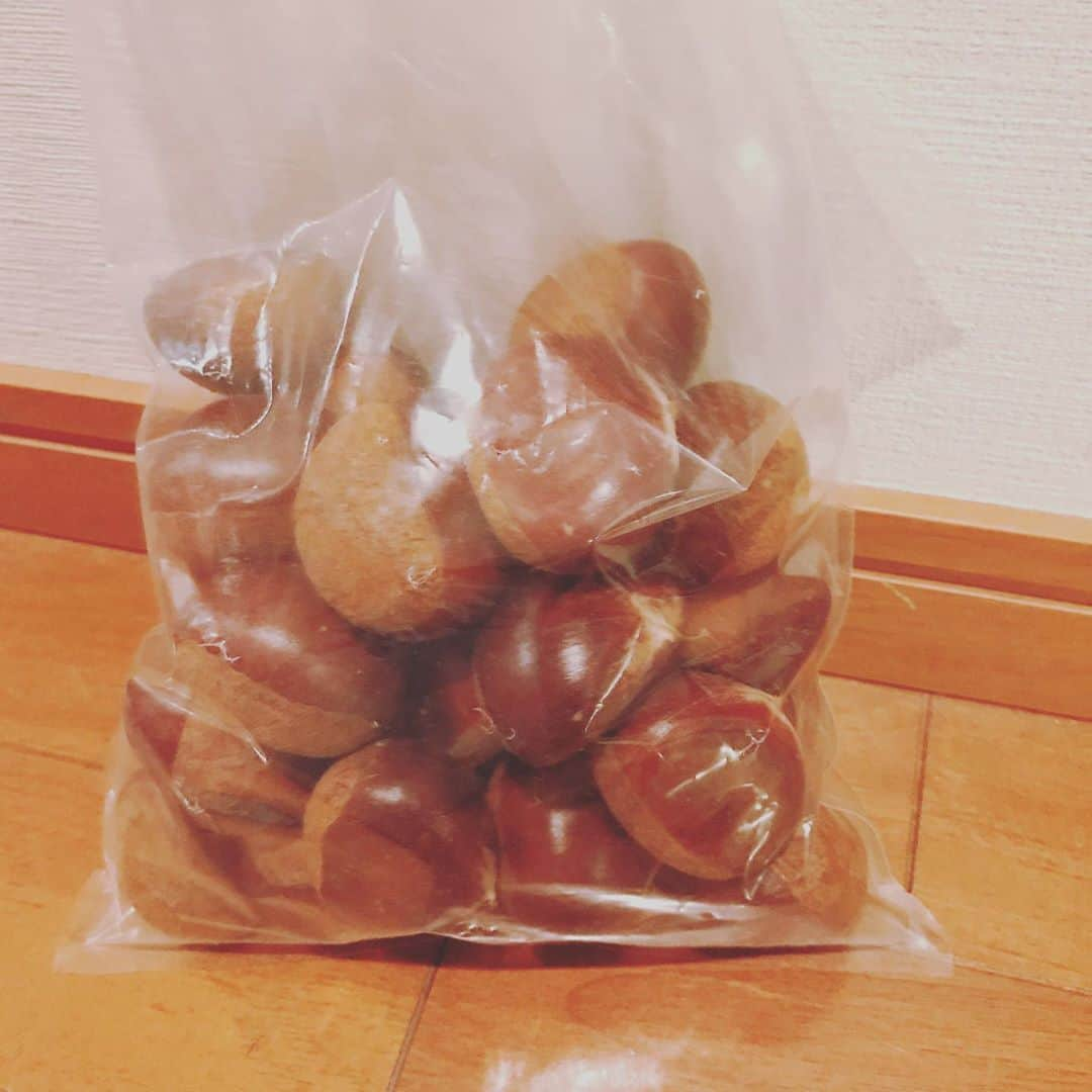 坂下千里子さんのインスタグラム写真 - (坂下千里子Instagram)「リス🐿さんからもらいました。」10月1日 16時38分 - chiriko_sakashita_official