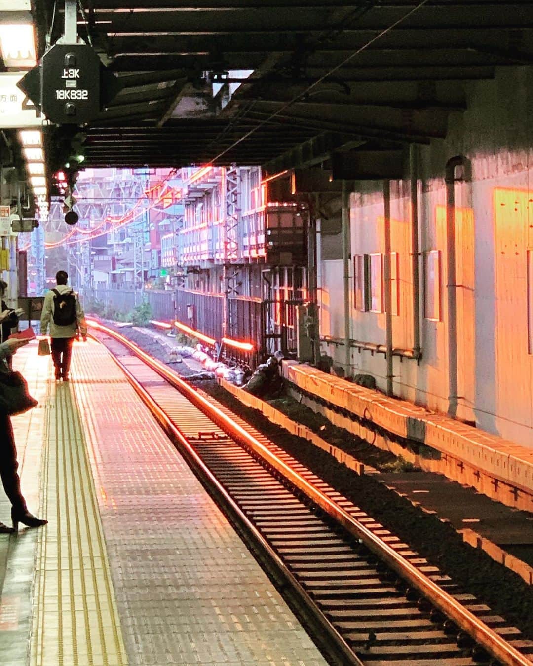 大鶴義丹さんのインスタグラム写真 - (大鶴義丹Instagram)「#中央線 は、今日も美しい！？」10月1日 17時11分 - gitan.ohtsuru