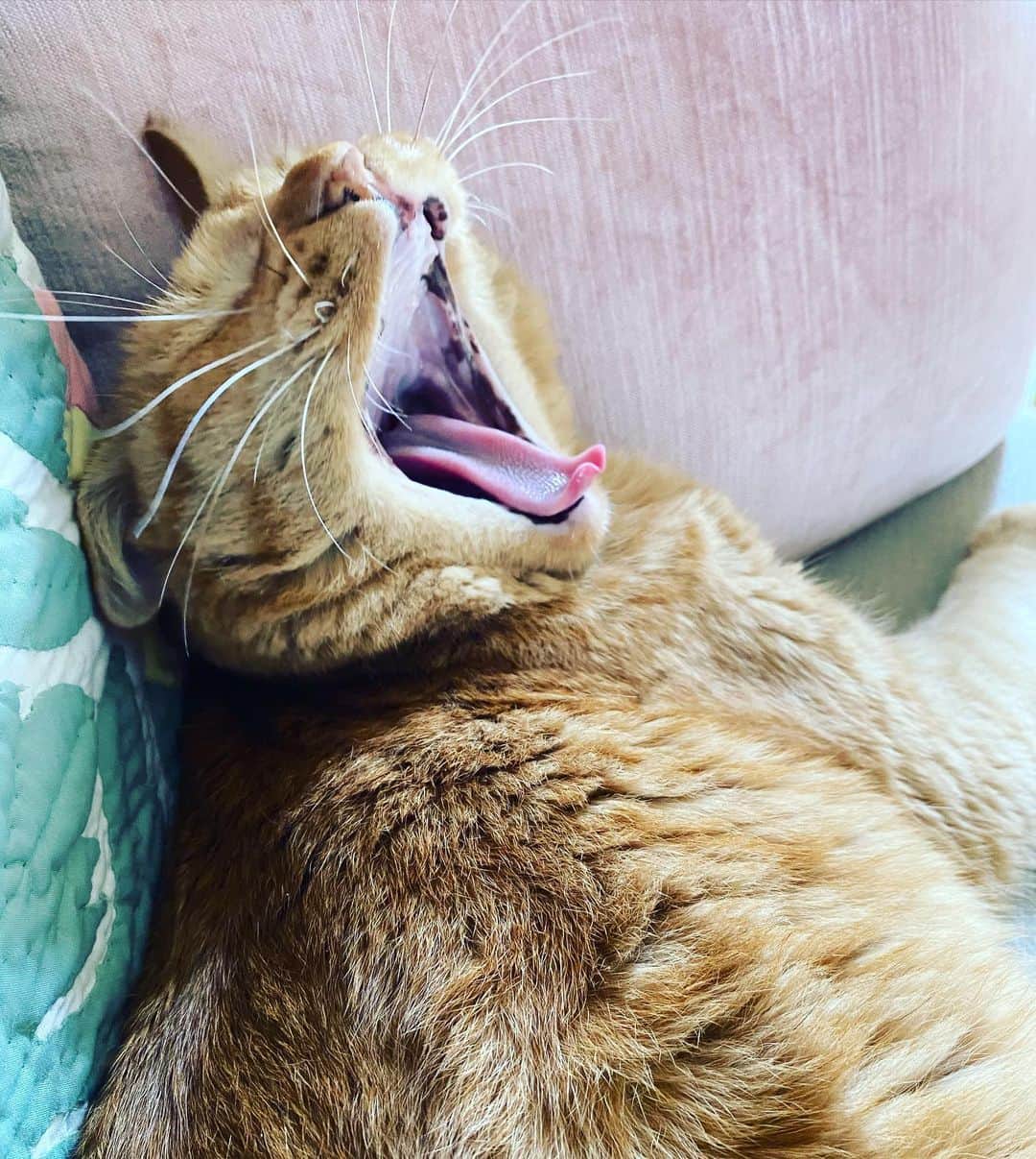 森永理科のインスタグラム