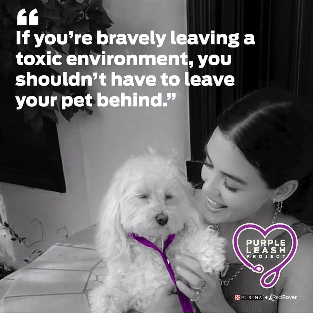 ルーシー・ヘイルのインスタグラム：「Pets are a huge part of the family — Elvis is no exception. Many victims of domestic violence will stay where they are out of fear of leaving their pets behind. 1 in 3 women, and 1 in 4 men, will experience domestic abuse in their lifetimes. This is an issue that is extremely close to my heart because without our pets, who would we be? That is why, in honor of #DomesticViolenceAwareness month, I’m Taking the Lead by partnering with @purina and @redroverorg to raise awareness about the #PurpleLeashProject – a project that is dedicated to creating safe places for people and their pets to escape abuse together. (AD) Please join me in shedding more light on this issue, and providing places where people and their animals can heal together. Visit www.purpleleashproject.com to learn more and find out how you can take the lead and contribute.」
