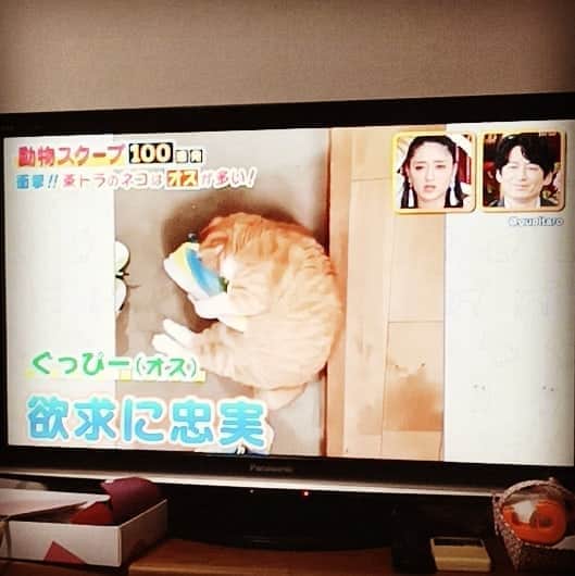 松本隆博のインスタグラム：「。 ごめん、グチ。  ほんま、くだらんテレビ。 スクープ100連発ちゃうやろ YouTube100連発やろが！ テレビ制作会社よ！ お前ら物作り魂ないんか？ ほんまくだらん。 YouTube放送して、タレントを ワイプで抜いてコメントさせて。 しよーもないクイズやって、、 ほんま、くだらん、こんなこと してるんなら電波返却して、 放送なんかやめれ、ほんま、くだらん。  テレビの人らよ！お前えらに、 プライドないんか？ばーか。 あほんだらー。」