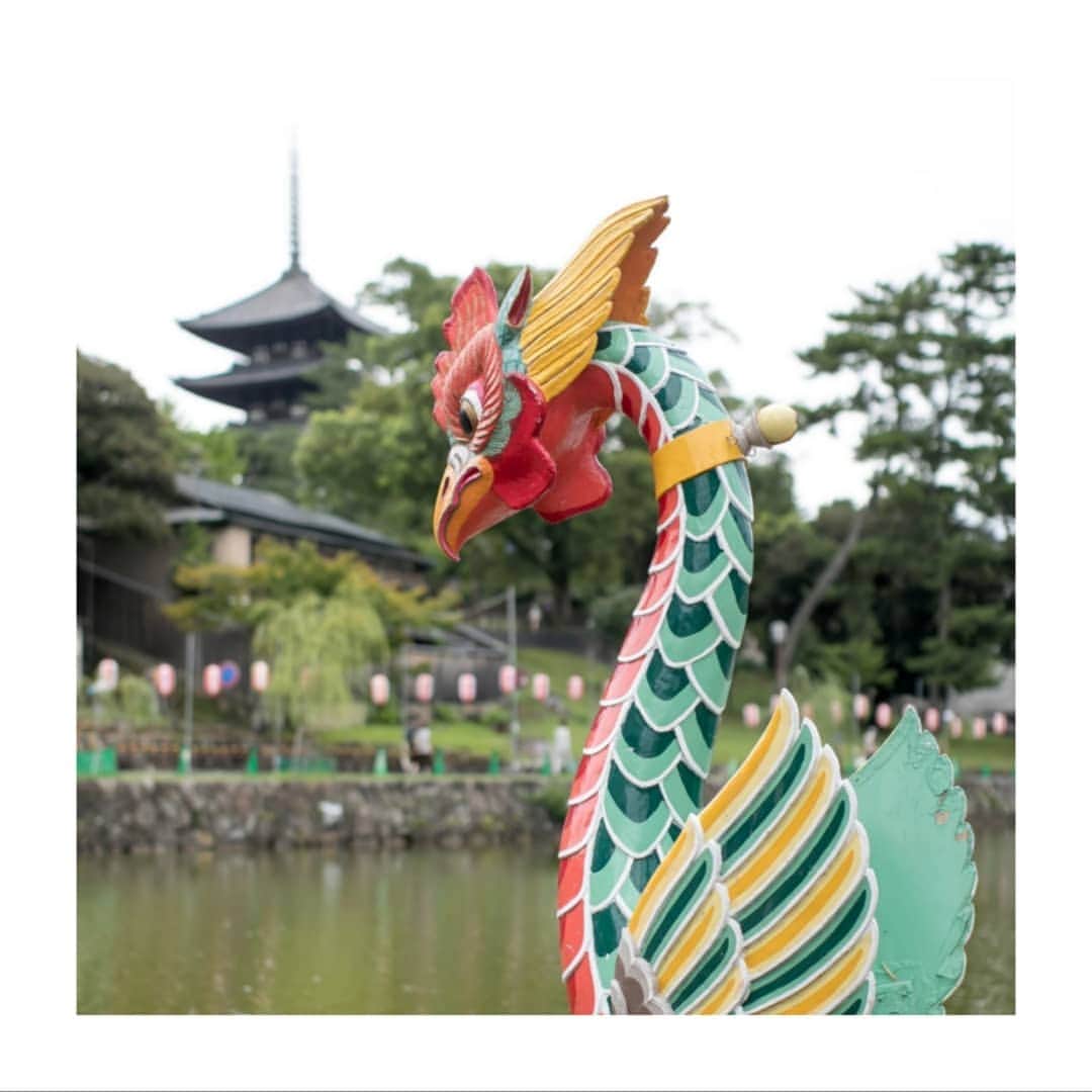 菊水楼公式アカウントのグルメインスタ