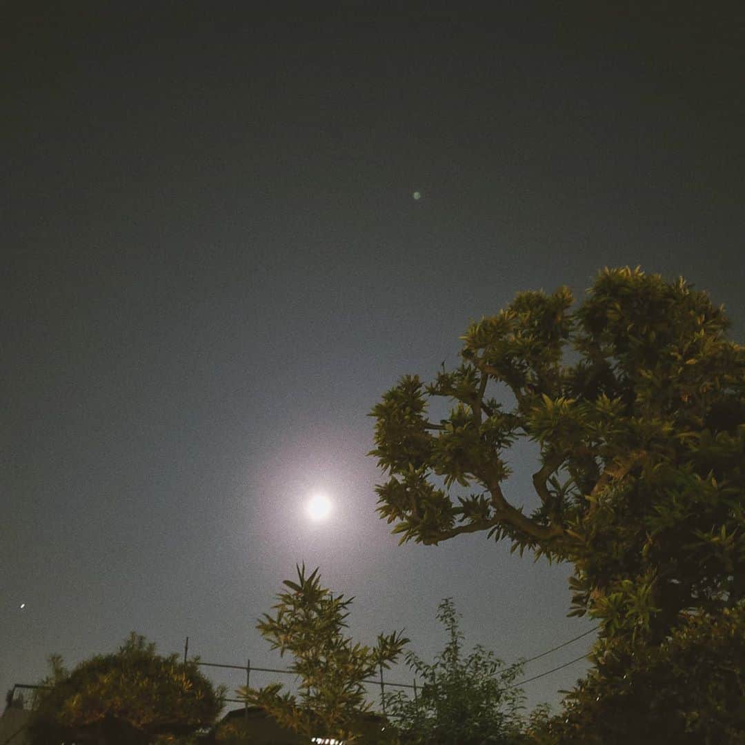 保坂玲奈さんのインスタグラム写真 - (保坂玲奈Instagram)「月が綺麗ですね。  太陽のような人間に憧れるけど 今の私はどちらかと言うと月かなぁ︎☽︎  #中秋の名月#夏目漱石」10月1日 20時22分 - __renao_0707