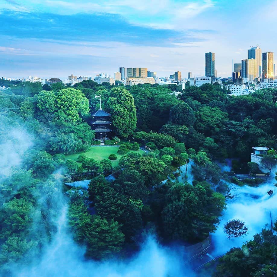 ホテル椿山荘東京さんのインスタグラム写真 - (ホテル椿山荘東京Instagram)「本日より「東京雲海」一般公開！ 安全に楽しく、幻想的な絶景をお楽しみください。 It's time for the Tokyo Sea of Clouds to commence! We hope you'll look forward to this magical vision.  ※東京雲海は、ホテル施設ご利用のお客様にご体験いただいております。  @hotelchinzansotokyo_official  #東京雲海 #雲海 #霧の庭園 #絶景_hct」10月1日 20時24分 - hotelchinzansotokyo_official