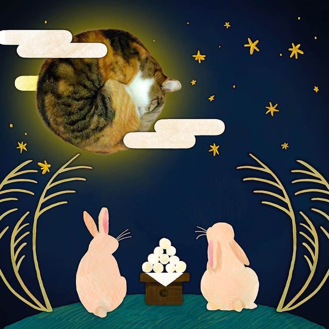 のインスタグラム：「✼ まんまる綺麗な紅茶満月🌕😸 #中秋の名月 #中秋の名猫 * @cattymancam さんに #メイクにゃーと していただきました🎨 今夜は紅茶満月でお月見🎑😆 * * #どたま祭 #無敵の親バカ同盟 * #fukukocha #marikill66_1001 #fukukohakushinchaart #fukukohakushinchacongrats * * * #repost @cattymancam ・・・ .﻿ ウサギさんA　『月が綺麗ですね』﻿ ウサギさんB　『……あれ、月？』﻿ ﻿ 『まごうことなき月にゃ』﻿ ﻿ Cast：紅茶ちゃん﻿ Art by：hosana﻿ =-=-=-=-=-=-=-=-=-=-=-=-=﻿ ﻿ こんなに綺麗な円見たことないです！(笑)﻿ ※ねこちゃんです🎑﻿ ﻿ 毛色も柄も綺麗で、まんまるニャンコでお猫見したいですね〜😄﻿ ﻿ 愛くるしいニャンコのあんな姿やこんな姿❤️﻿ ニャンコの気持ちになりきって写真をかわいくメイクアート、その名も 「メイクにゃーと」 しちゃいます🎨🐱﻿ ﻿ #メイクにゃーと をつけてみなさまのニャンコ写真を投稿してください🤳ご投稿いただいた写真はかわいく #メイクにゃーと して、本アカウントでご紹介します💛😻﻿ ﻿ ⭕️画像が採用されましたら、本アカウントよりDMをお送りします😄﻿ ⚠️ 応募画像はみなさまが撮影したオリジナル写真でお願いします🙇‍♂️﻿ みなさまのかわいいニャンコ写真、お待ちしてま〜す🐾﻿ ﻿ #キャティーマン﻿ #メイクにゃーと﻿ #ペットライフのよきパートナー﻿ #猫と暮らすしあわせ﻿ #我が家のキャティーマン﻿ #猫 #cat #catsofinstagram #ねこ部 ﻿ #ドギーマン #ねこ #にゃんすたぐらむ #catstagram #猫好きさんと繋がりたい #猫のいる生活﻿ #にゃんだふるらいふ #ねこのいる生活 #ねこのきもち #ねこ画像加工 #秋 #お月見」