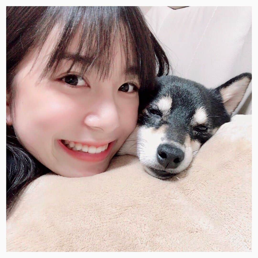 井上玲音さんのインスタグラム写真 - (井上玲音Instagram)「小夏🐶 ･ もうほぼ寝る寸前の小夏 ･ 可愛すぎていっぱい撮りました🧡 ･ ちゃんとカメラ目線。 ･ #小夏 #豆柴 #黒柴 #柴犬 #ねむい  #juicejuice #井上玲音」10月1日 20時57分 - rei_inoue.official