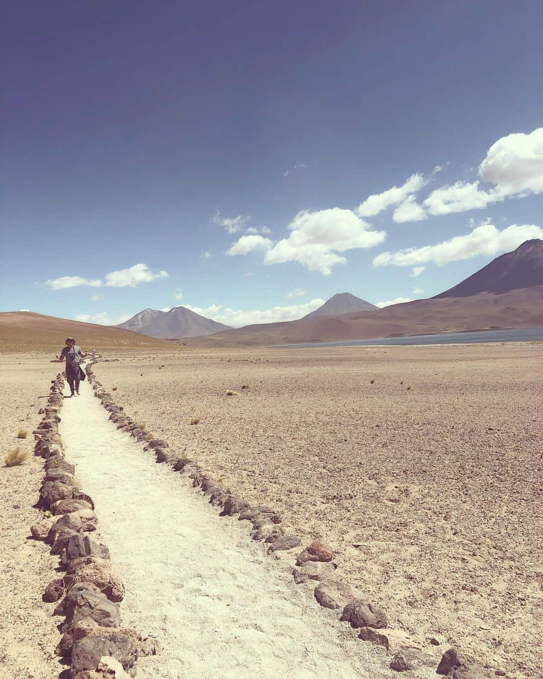 エンリケ・ロドリゲスのインスタグラム：「#tbt pra saudade de uma boa viagem! 🗻 #atacama #lagunasaltiplanicas #chile #landscape」