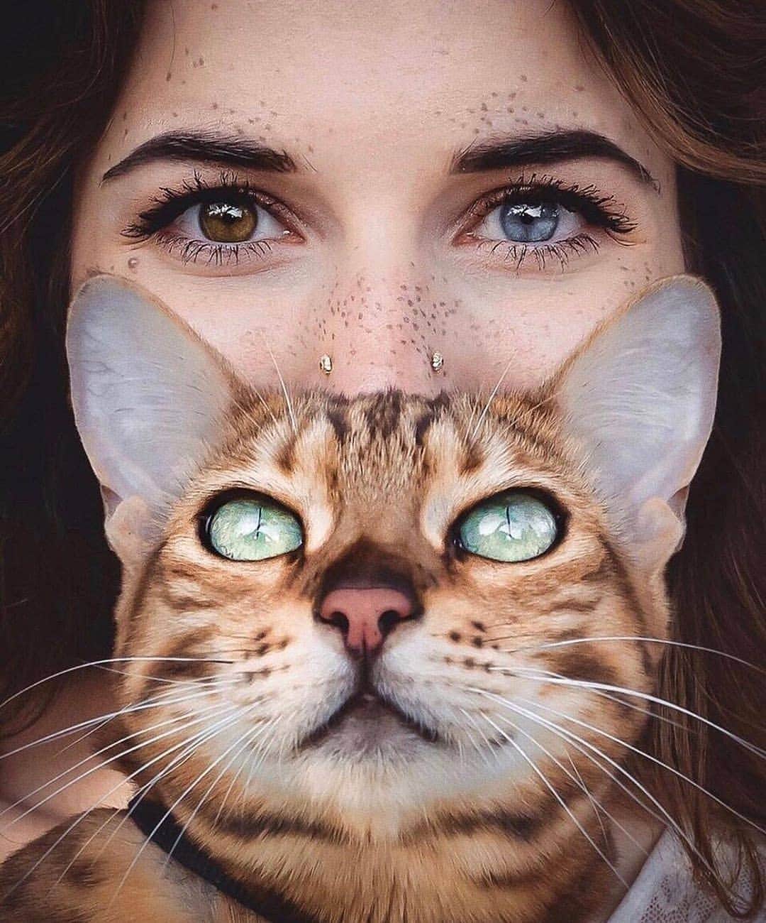 Portrait|Life|Fashion|Faceのインスタグラム：「Selection by  @unsalsicilli Who loves Cat 💛 ━━━━━━━━━━━━━━━━━━━ Presents: @sukiicat, @katvondbeauty  Congratulations!  ━━━━━━━━━━━━━━━━━━━ Team #portraitmood Founder @humanistagram  ━━━━━━━━━━━━━━━━━━━  #cat #cats #instagood #kitten #kitty  #animals #photooftheday #catsofinstagram #catoftheday #catlover #ig_mood #portraitpage #girl #yoga #eyes #agameoftones #ginger #natgeo #canon #nikon #portraitphotography #portrait #makeup #fashion #gym #ポートレート #портрет #worldface #model」