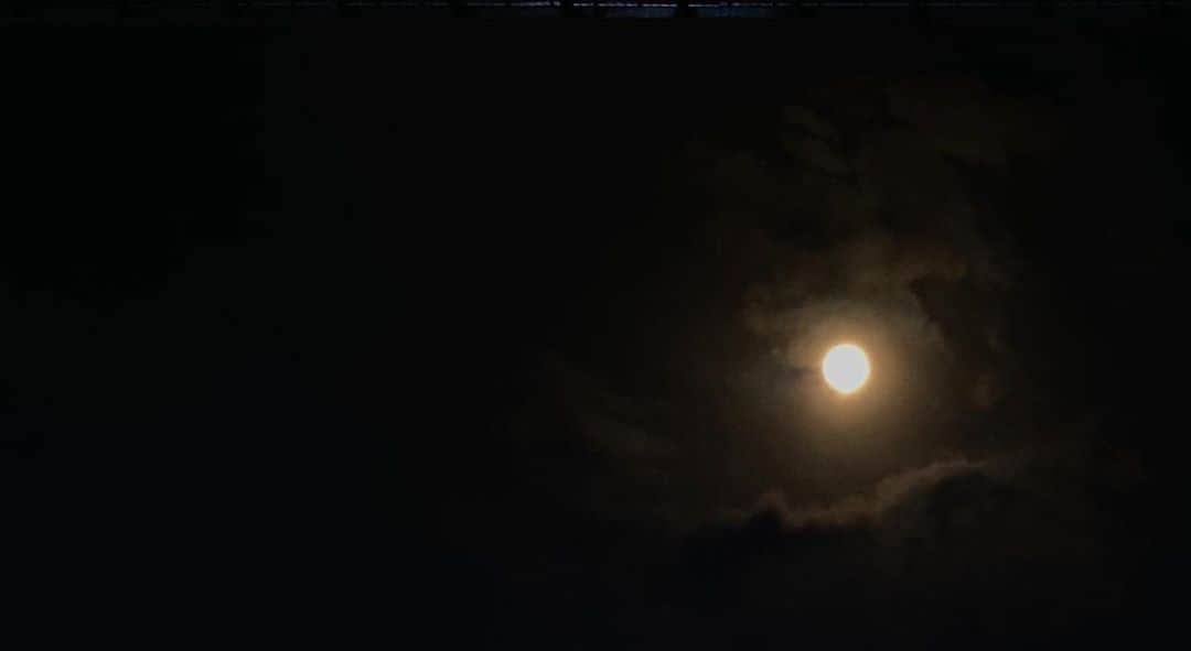 高田健太（KENTA）のインスタグラム：「행복하세요🌾🌕」
