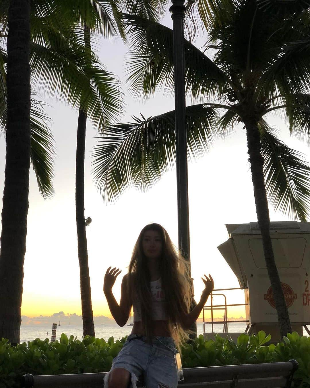 Mihoのインスタグラム：「🌴  #honolulu #sunsetpalmtrees #hawaii」